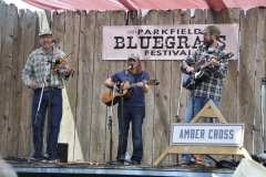 Parkfield Bluegrass Festival 2016